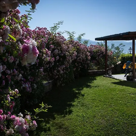 Agriturismo Vita Nova Vicchio Room photo