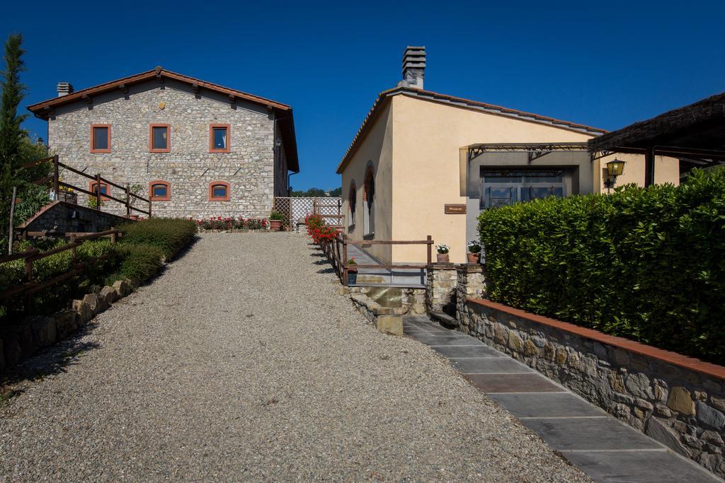 Nova Vicchio