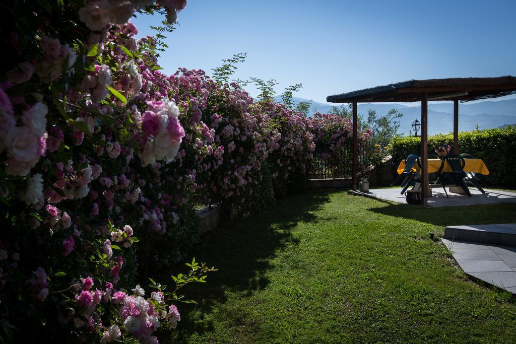Country house Nova