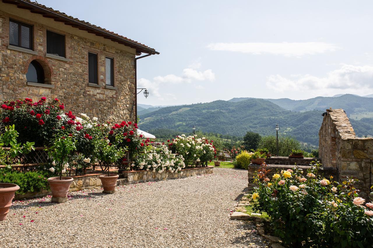 Nova Vicchio